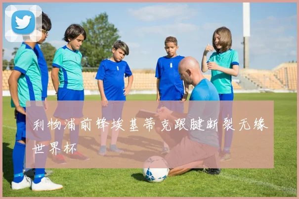 利物浦前锋埃基蒂克跟腱断裂无缘世界杯