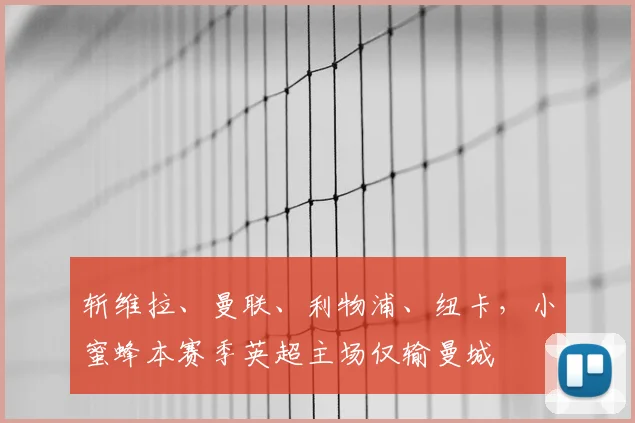 斩维拉、曼联、利物浦、纽卡，小蜜蜂本赛季英超主场仅输曼城
