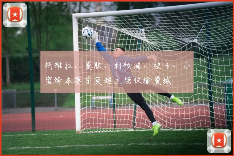 斩维拉、曼联、利物浦、纽卡，小蜜蜂本赛季英超主场仅输曼城
