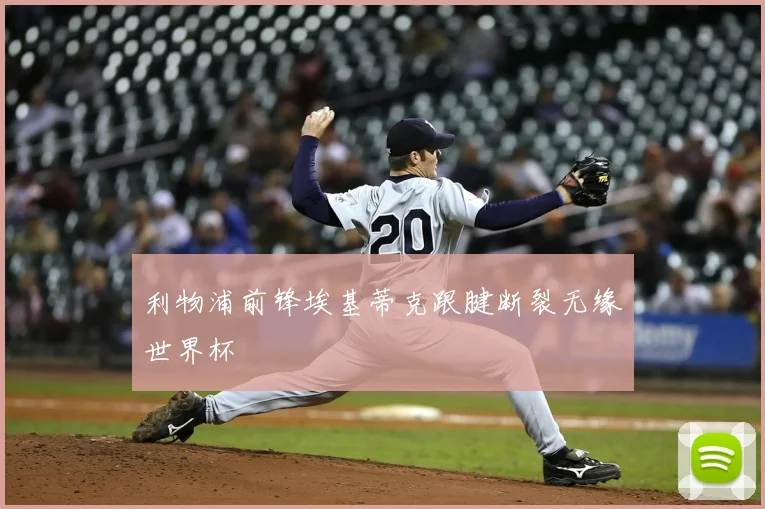 利物浦前锋埃基蒂克跟腱断裂无缘世界杯